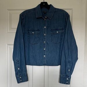 J. Crew Blue Button Down Shirt